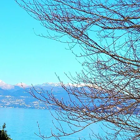 Coccinella, Relax Sul Willa