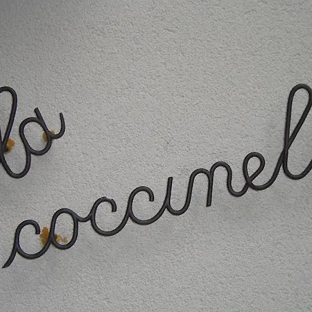 Coccinella, Relax Sul Willa