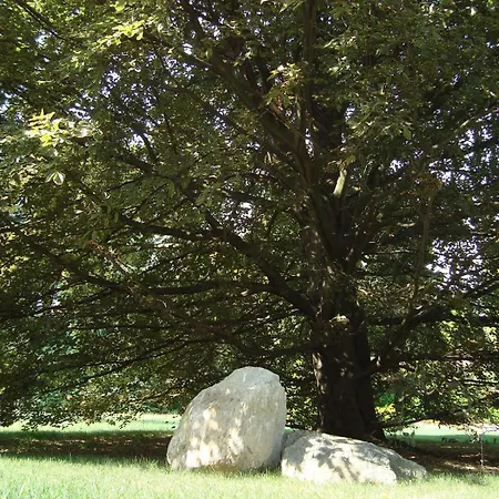Coccinella, Relax Sul Willa