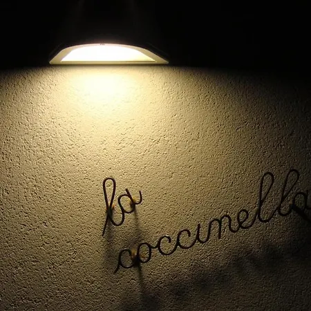Coccinella, Relax Sul Willa Ranco